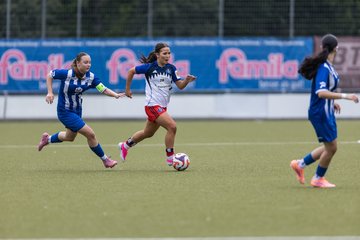 Bild 324 - wBJ Hamburger SV - FC Suederelbe : Ergebnis: 9:0